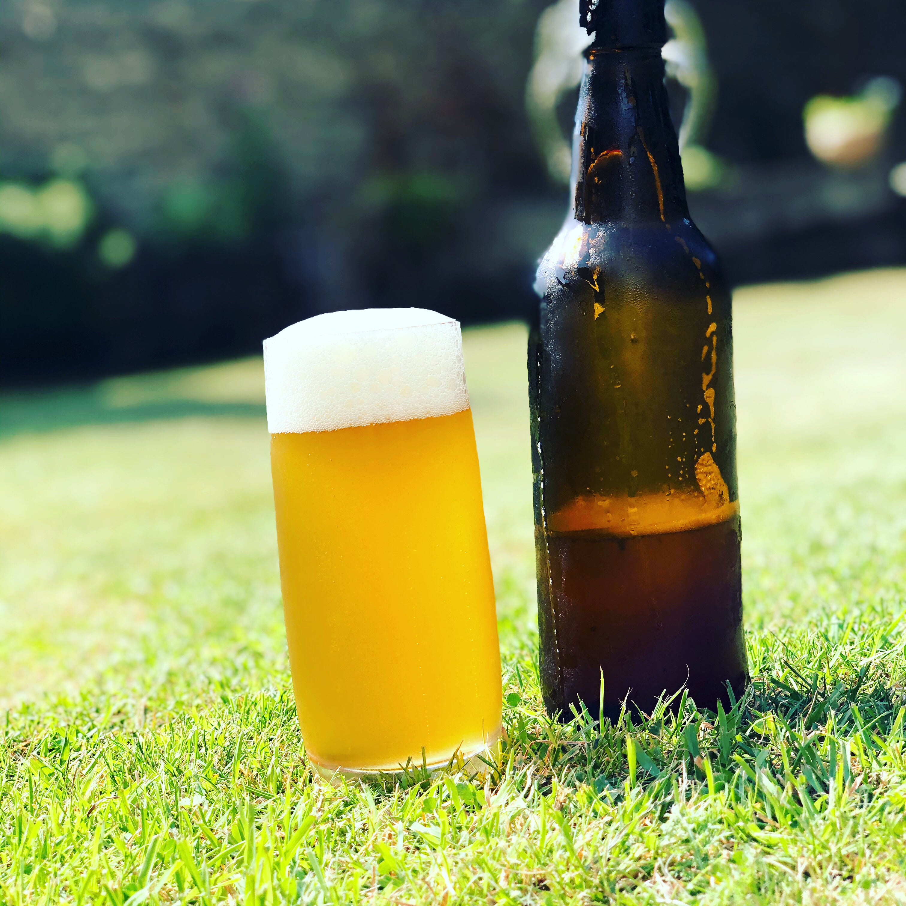 Gone Surfing Pale Ale Home Brew Starter Kit